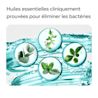 LIS EMEA FR 3574661811321 3574661919386 MW COOLMNT MILD 