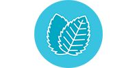 icon-wintergreen.png