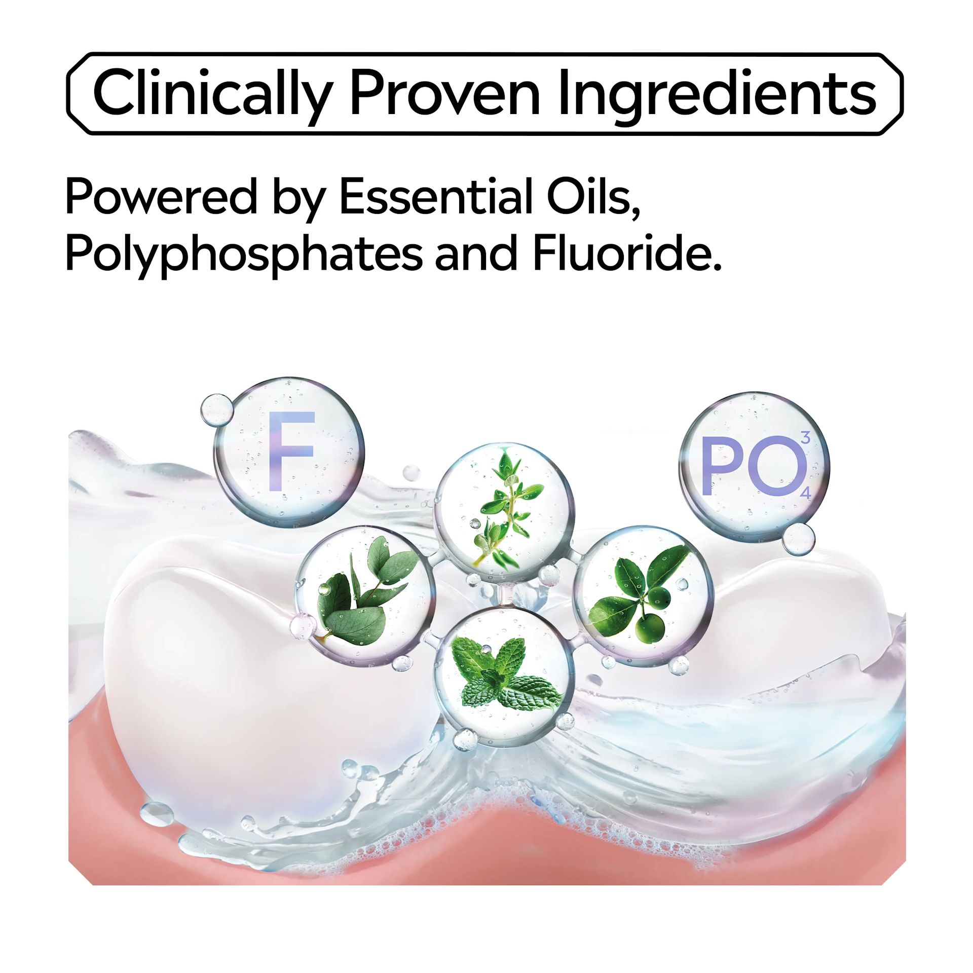 Clinically proven ingredients powered by essential oils, polysphosphates and fluoride