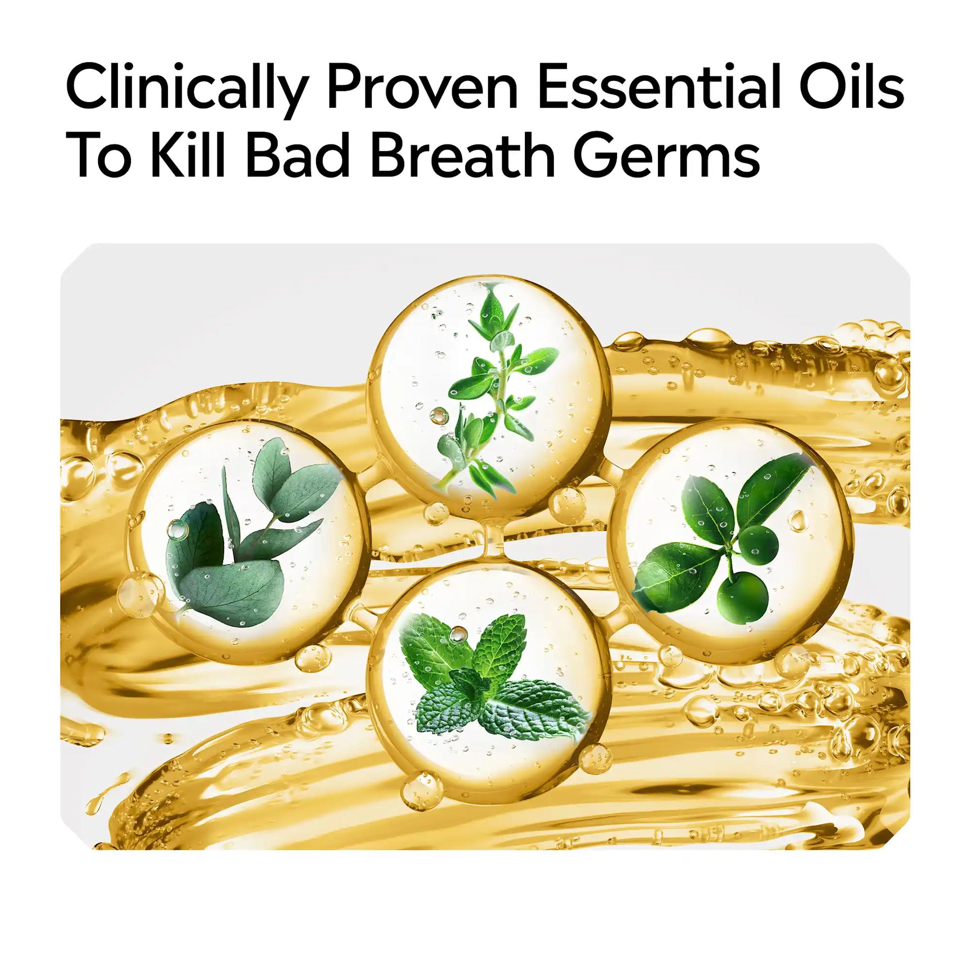 LIS B+ Ingredients Original Intense RGB 09 Clinically proven essential oils to kill bad breath germs