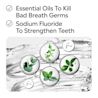 LIS B+ Ingredients TC Extra Mild RGB 10 Essential oils to kill bad breath germs, sodium fluoride to strengthen teeth