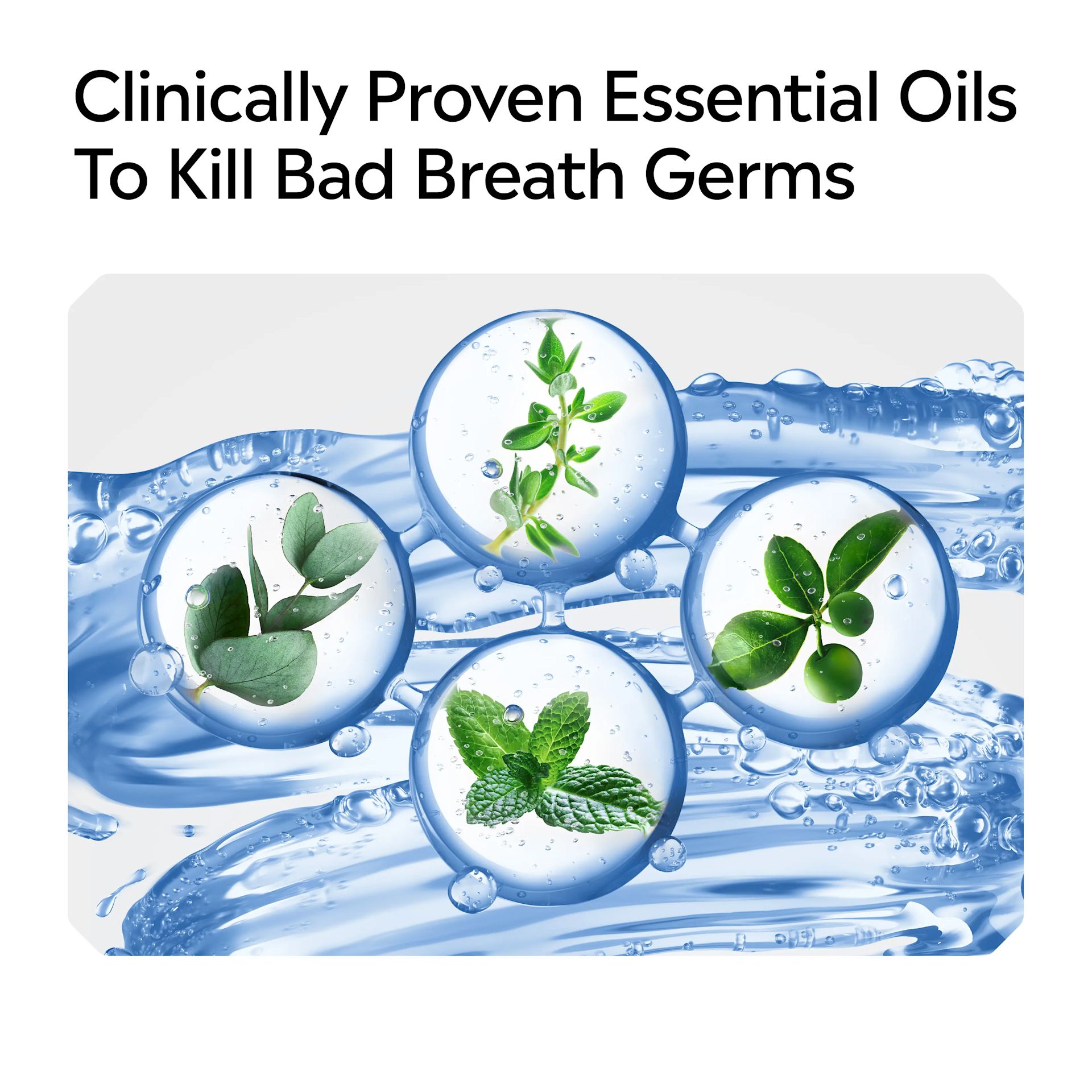 Clinically proven essential oils to kill bad breath germs