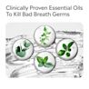 Clinically proven essential oils to kill bad breath germs