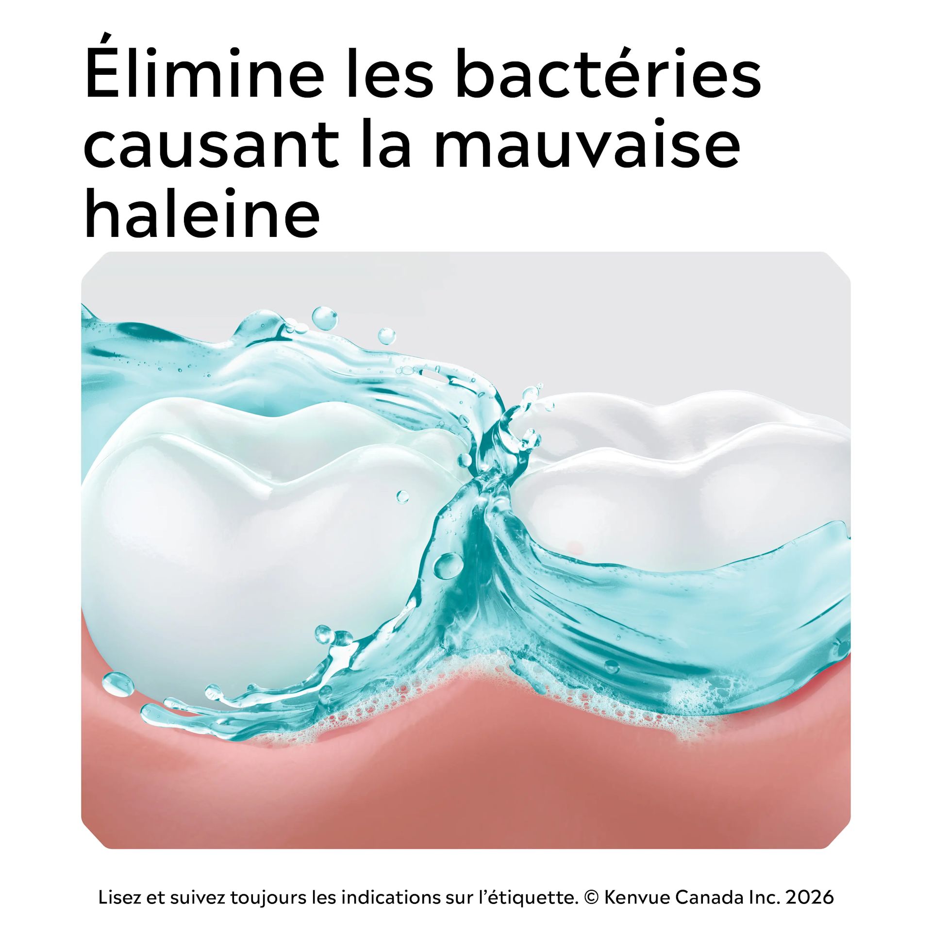 CA LIS 062600492517 CoolMint Sachets ATF FR 6 JPG