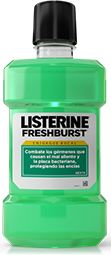 home-bold-freshbursh_0