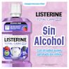 Sin Alcohol