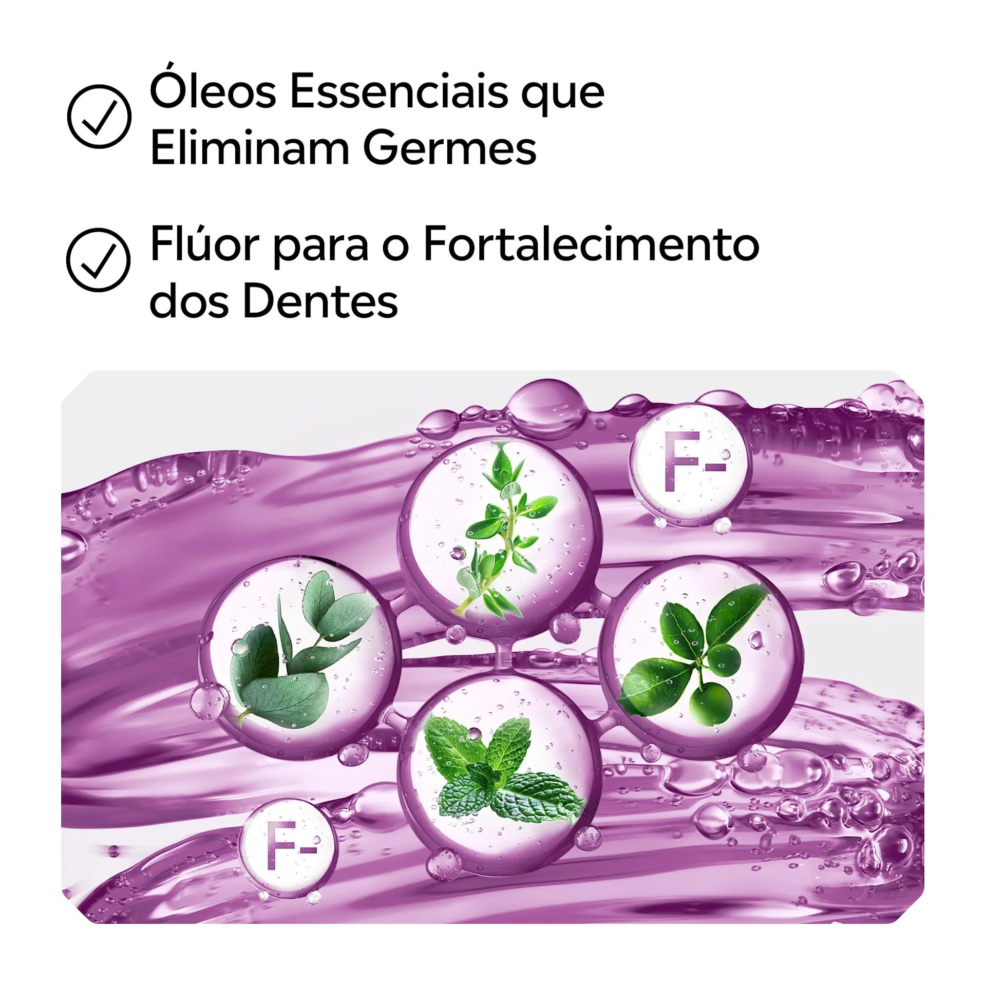cuidado total portfólio