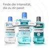 LISTERINE® Cool Mint in drei Intensitäten; Extra Mild und Mild ohne Alkohol, Intensive‑Variante mit Alkohol.