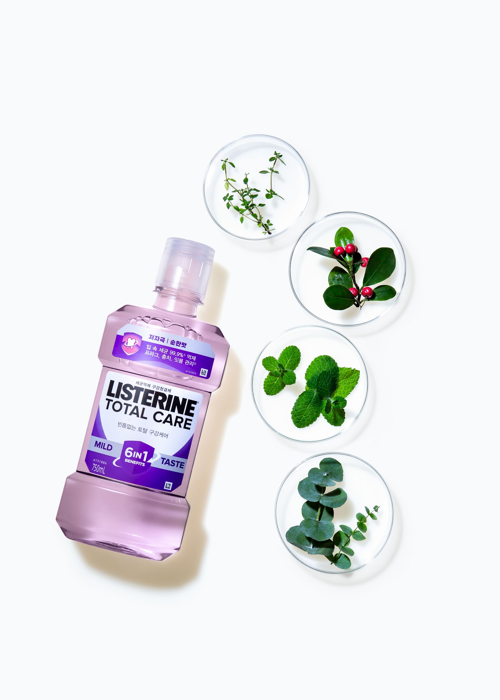 리스테린® 액 토탈케어 마일드 - Image 5 - Listerine - ko-KR