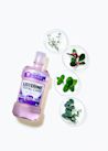 리스테린® 액 토탈케어 마일드 - Image 5 - Listerine - ko-KR