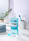 리스테린® 액 쿨민트 마일드 - Image 4 - Listerine - ko-KR