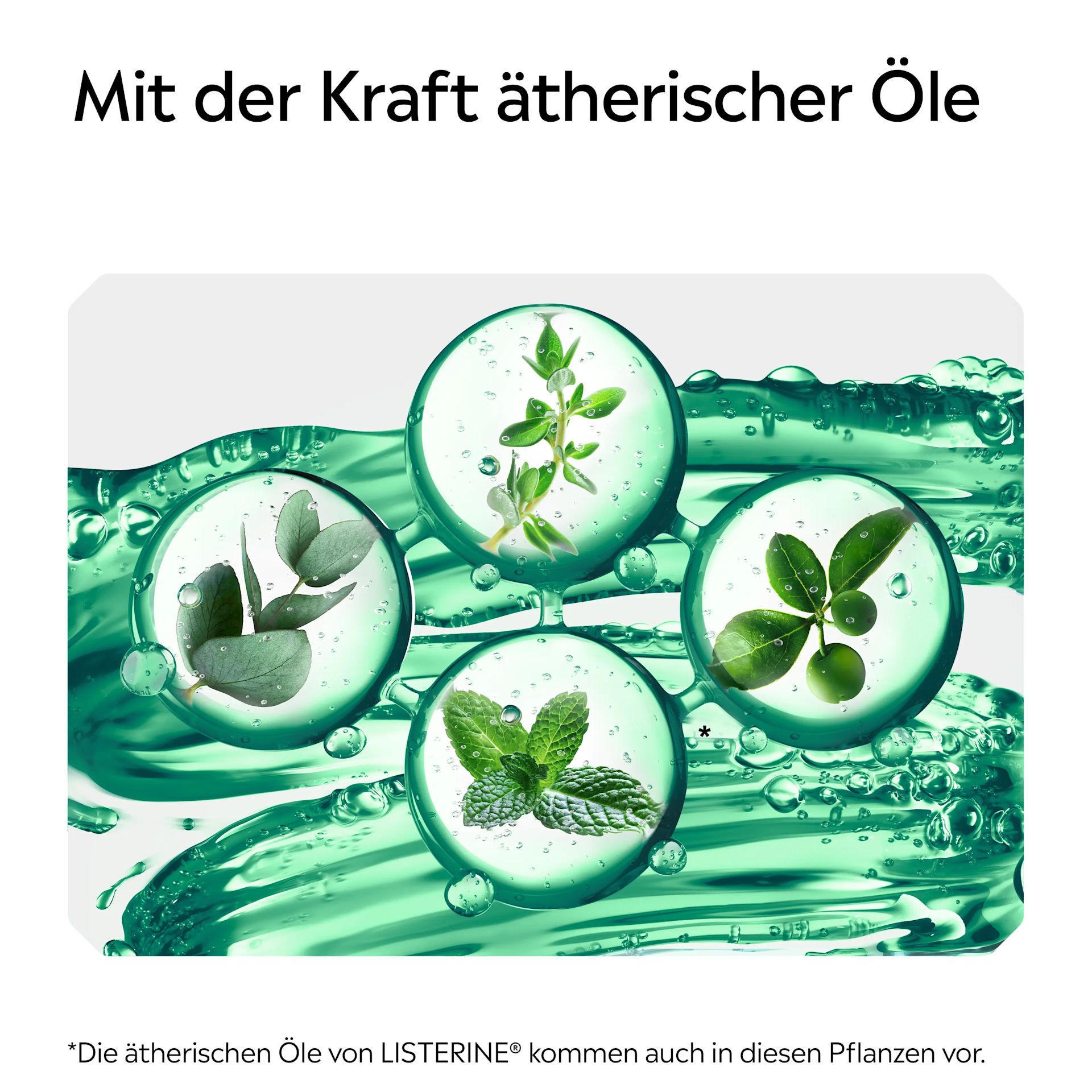 Darstellung ätherischer Pflanzenöle in Wasserblasen mit Hinweis auf die Kraft ätherischer Öle bei LISTERINE®.