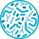 icono virus