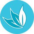 eucalyptol_0
