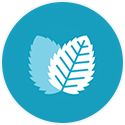 Leaf Icon