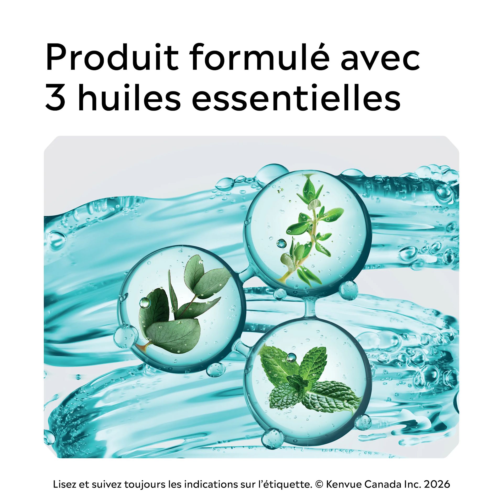 CA LIS 062600492517 CoolMint Sachets ATF FR 5 JPG