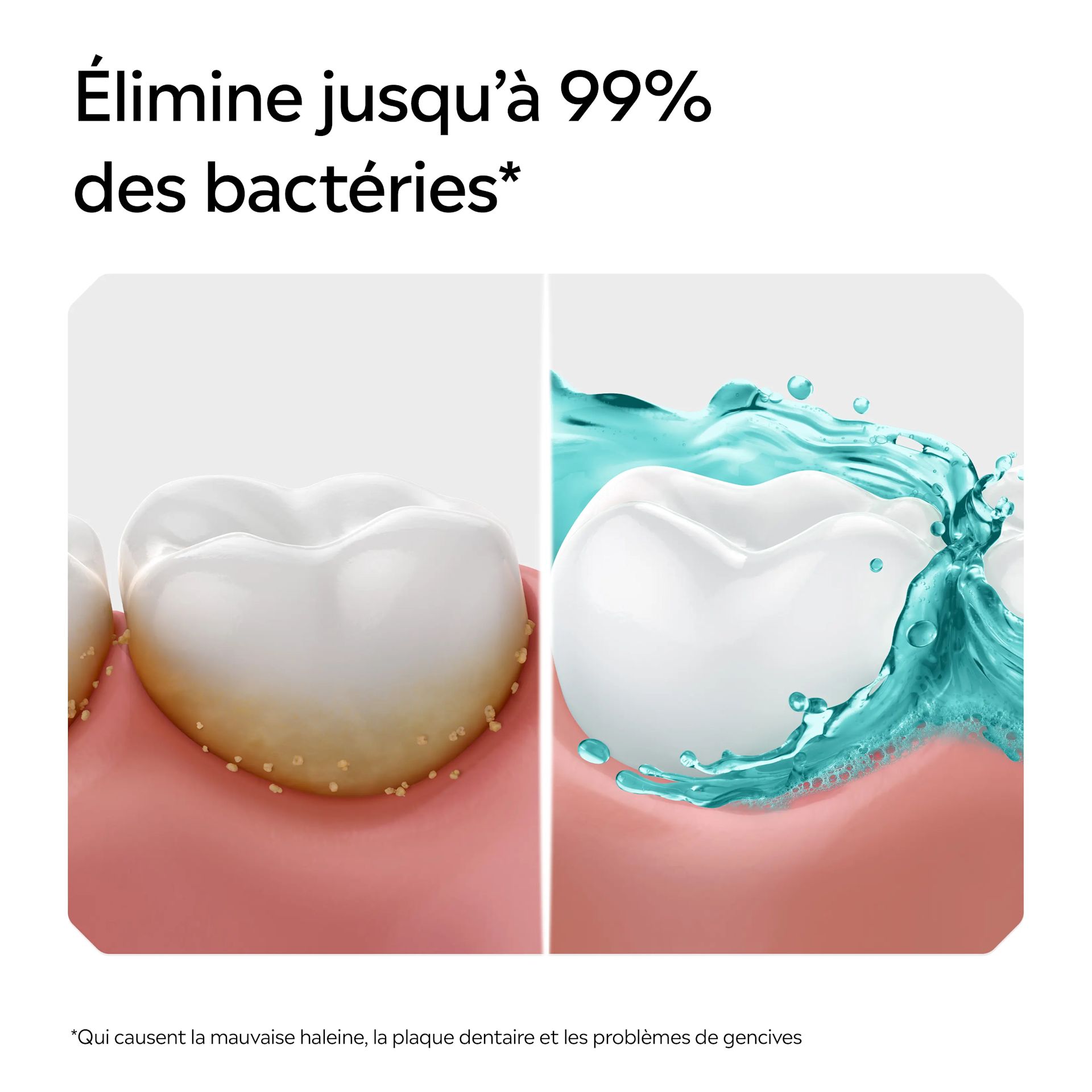 LIS EMEA FR 3574661811314 3574661810867 MTHWSH COOLMNT 