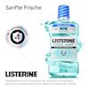 LISTERINE® COOL MINT Milde Minze ohne Alkohol mit Hinweis auf sanfte Frische und Nr. 1‑Empfehlung durch Zahnärzt:innen.