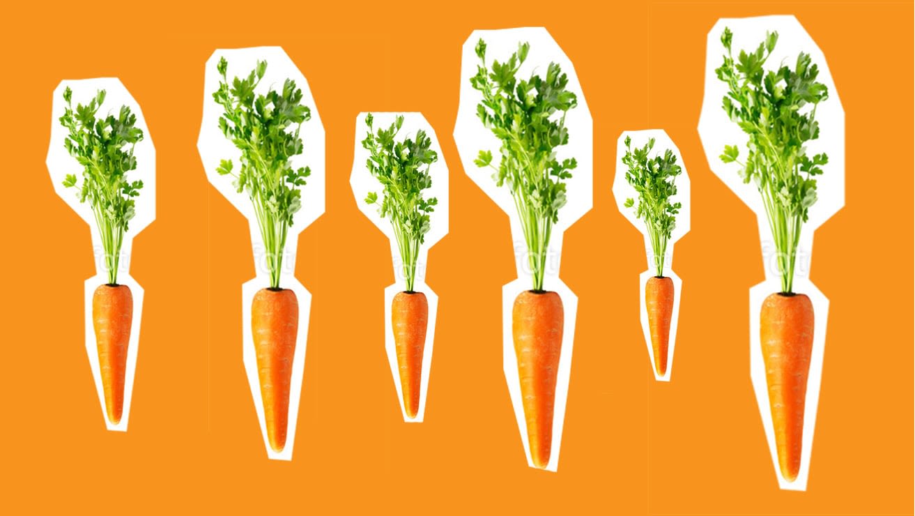 3_2_5_carrots_03.jpg