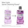 New Look, same cleaning power. Packaging may vary. You may receive either of these bottles