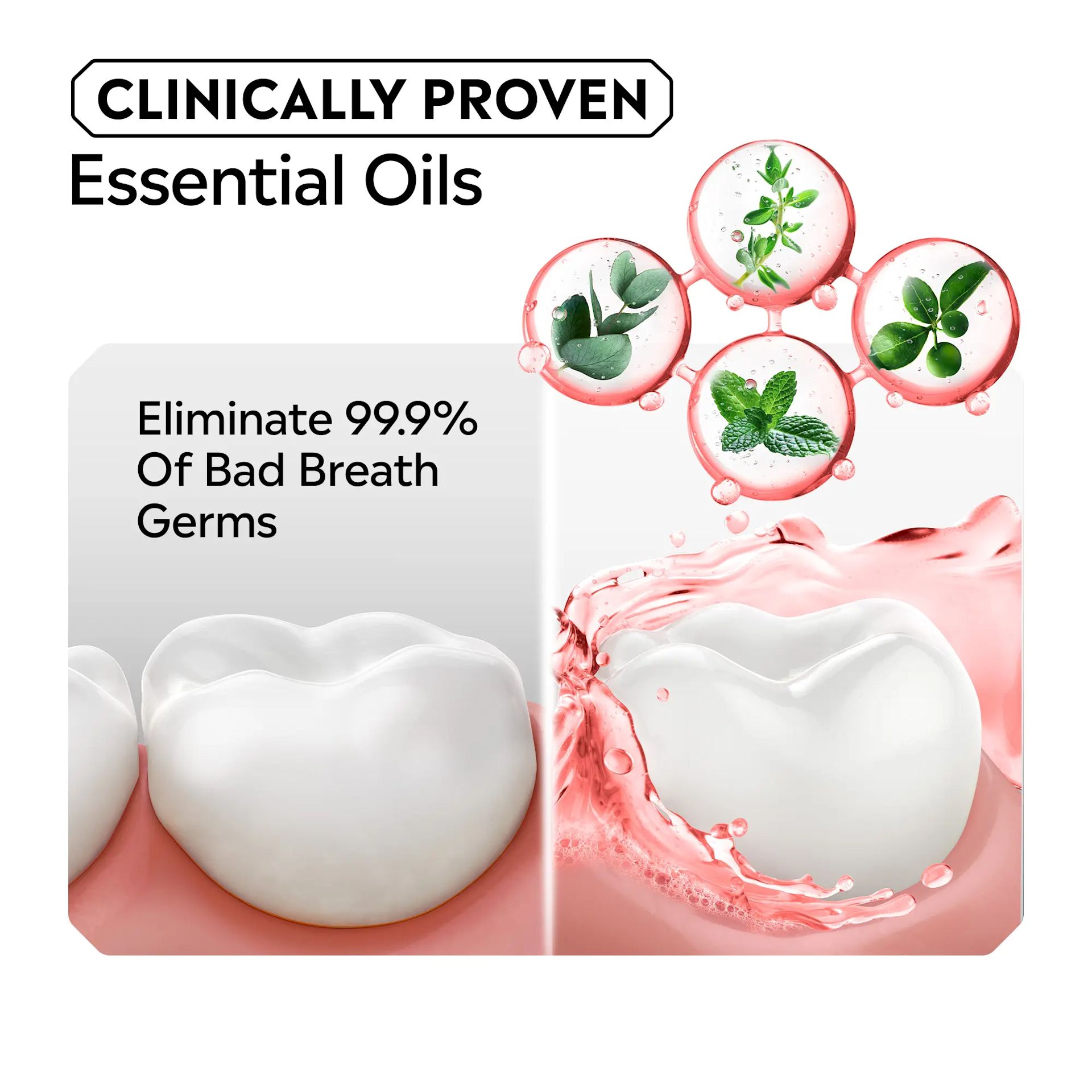 LISTERINE® Watermelon Mint Clinically Proven Essential Oils eliminate 99.9% of bad breath germs