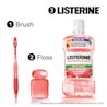 CA_LIST_62600492777_WatermelonMint_1L_EDA_EN_ATF_03​