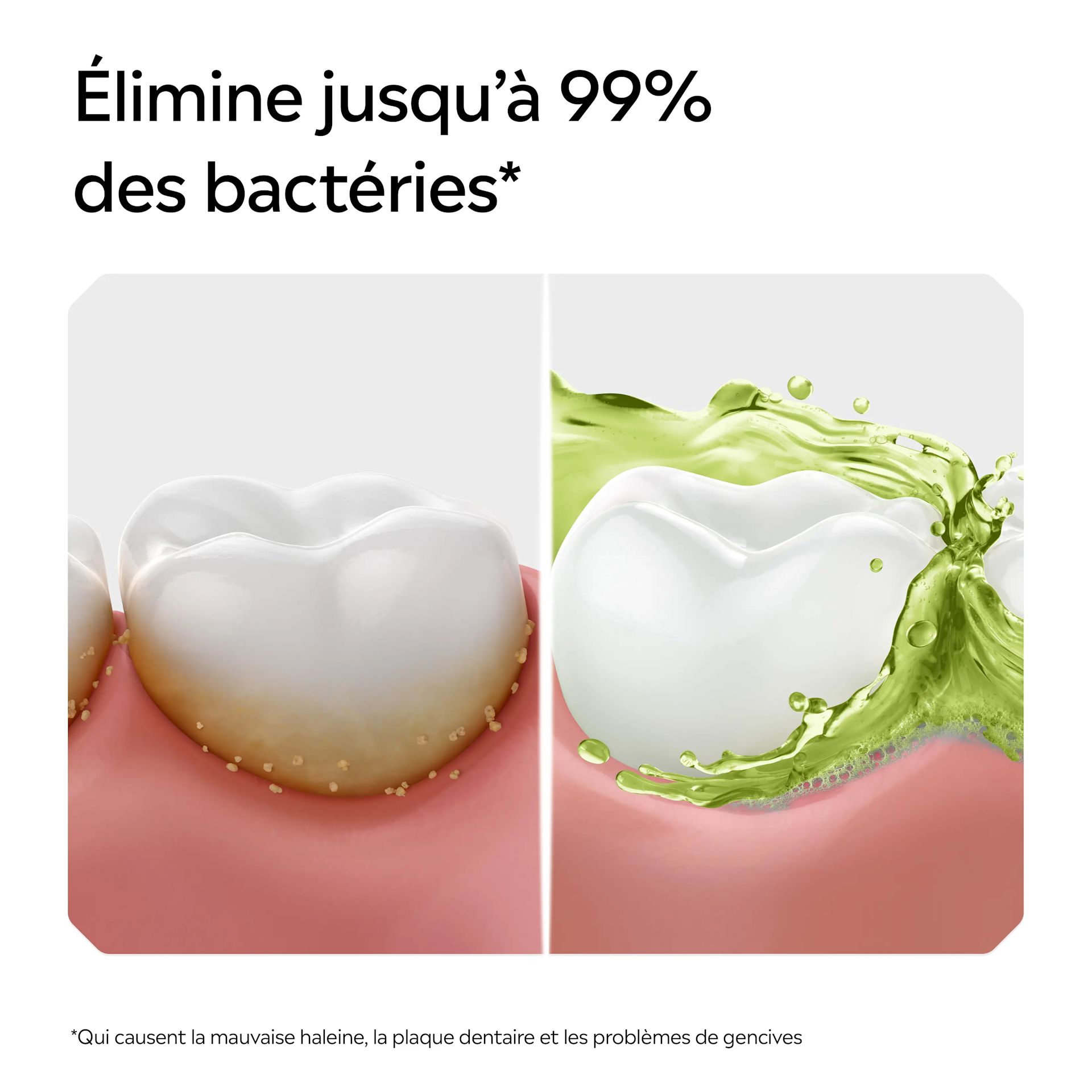LIS EMEA FR 3574661811338 LIST MW GREEN TEA 500 
