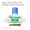 LISTERINE®  Citrus Mint Alcohol Free Mouthwash - Clean, Citrus Flavor of Grapefruit and Yuzu Mint
