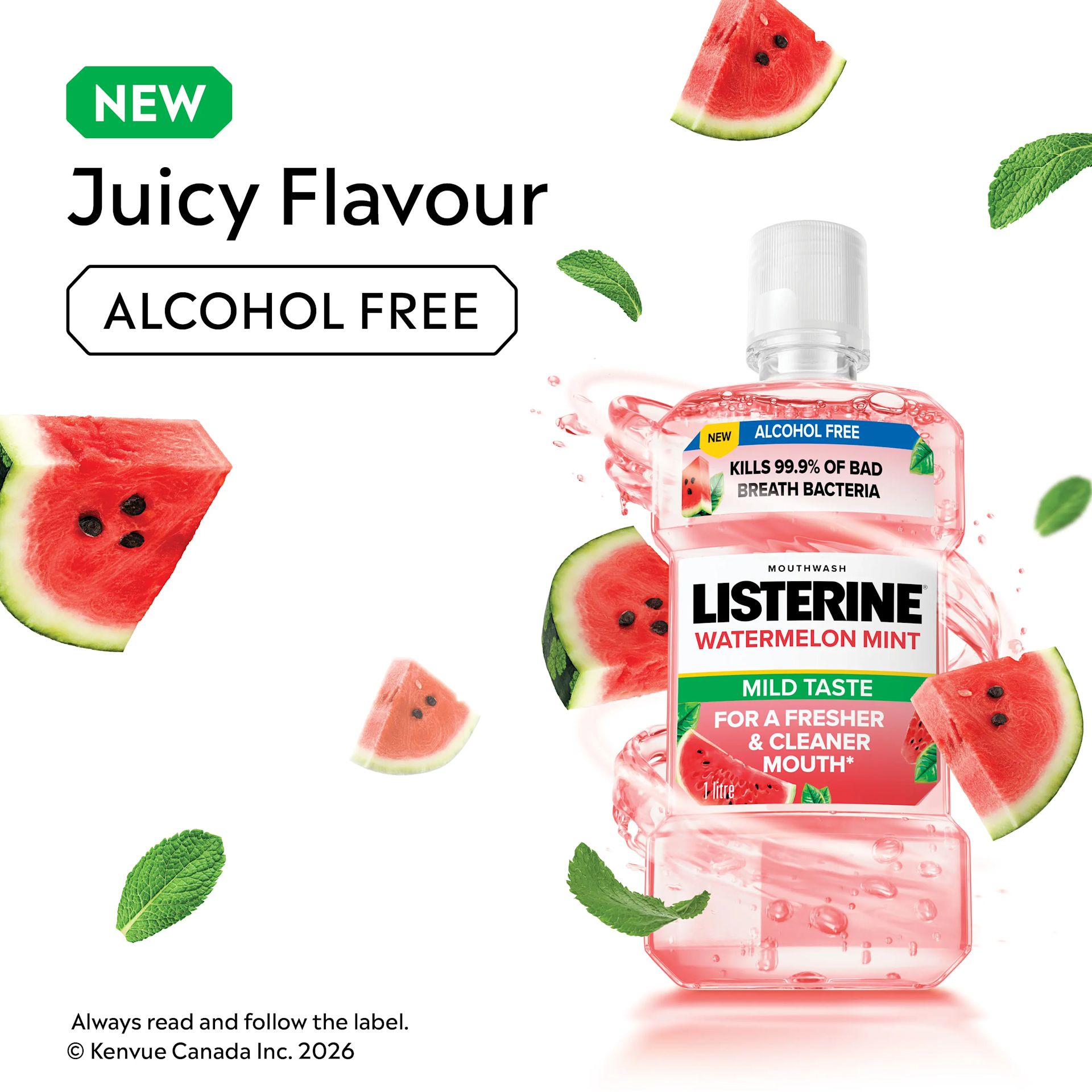CA_LIST_62600492777_WatermelonMint_1L_EDA_EN_ATF_02​