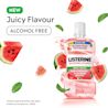 CA_LIST_62600492777_WatermelonMint_1L_EDA_EN_ATF_02​