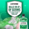 LISTERINE® FRESH BURST - Image 4 - Listerine - en-SG