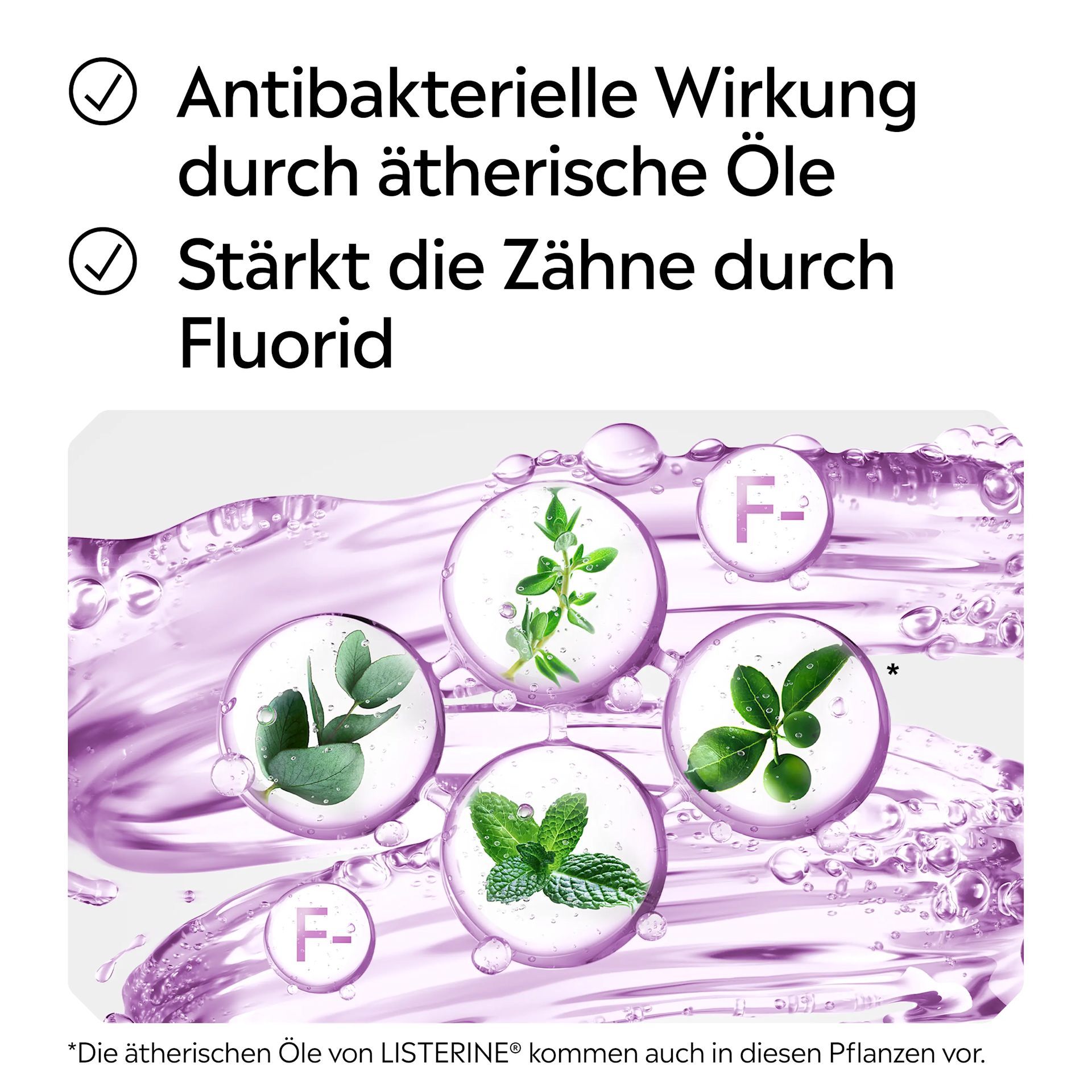 Antibakterielle Wirkung durch ätherische Öle + Stärkt die Zähne durch Fluorid 