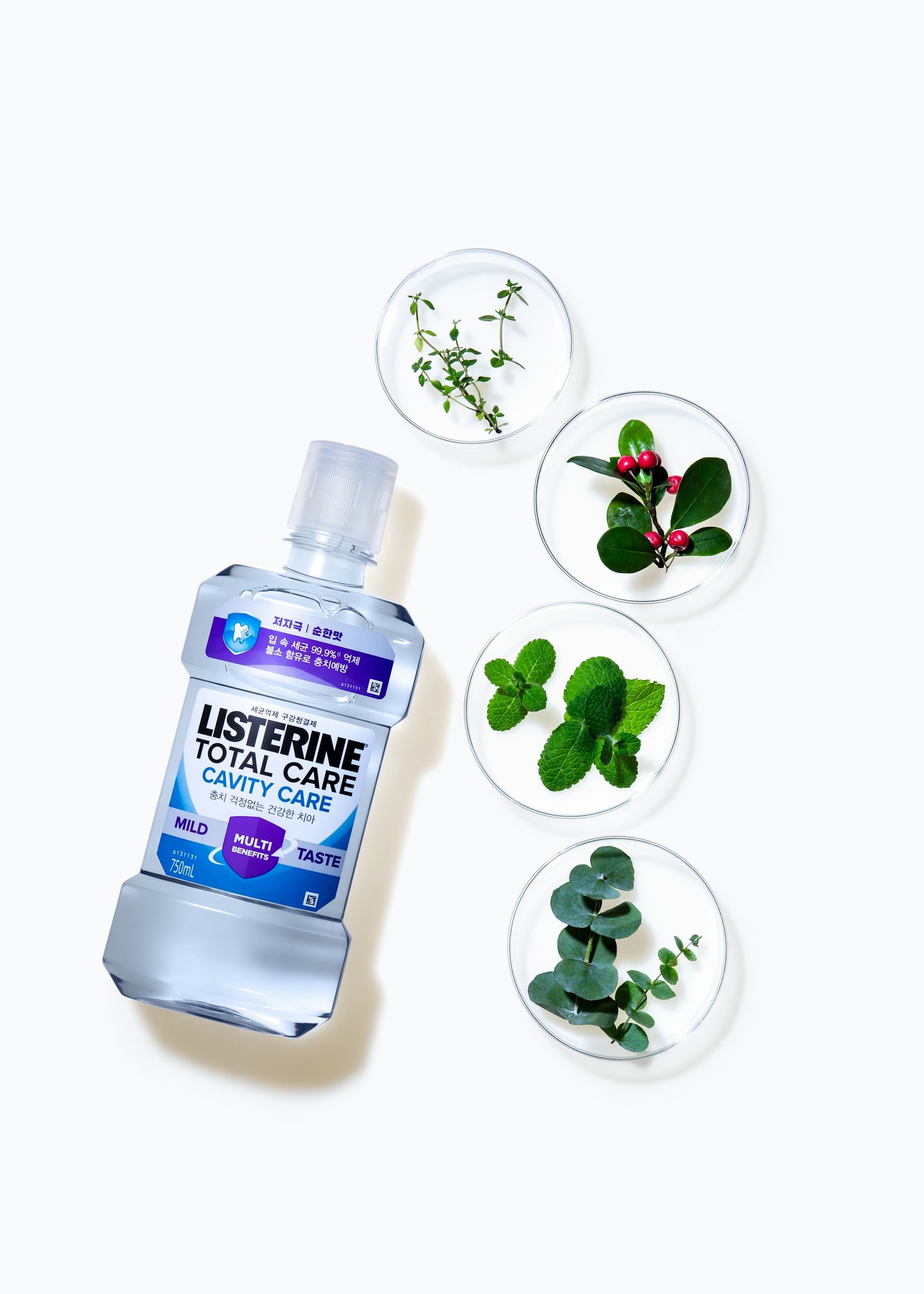 리스테린® 토탈케어 캐비티케어 마일드 액 - Image 5 - Listerine - ko-KR