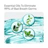LISTERINE® COOL MINT® Pocketmist, essential oils to eliminate 99% of bad breath germs