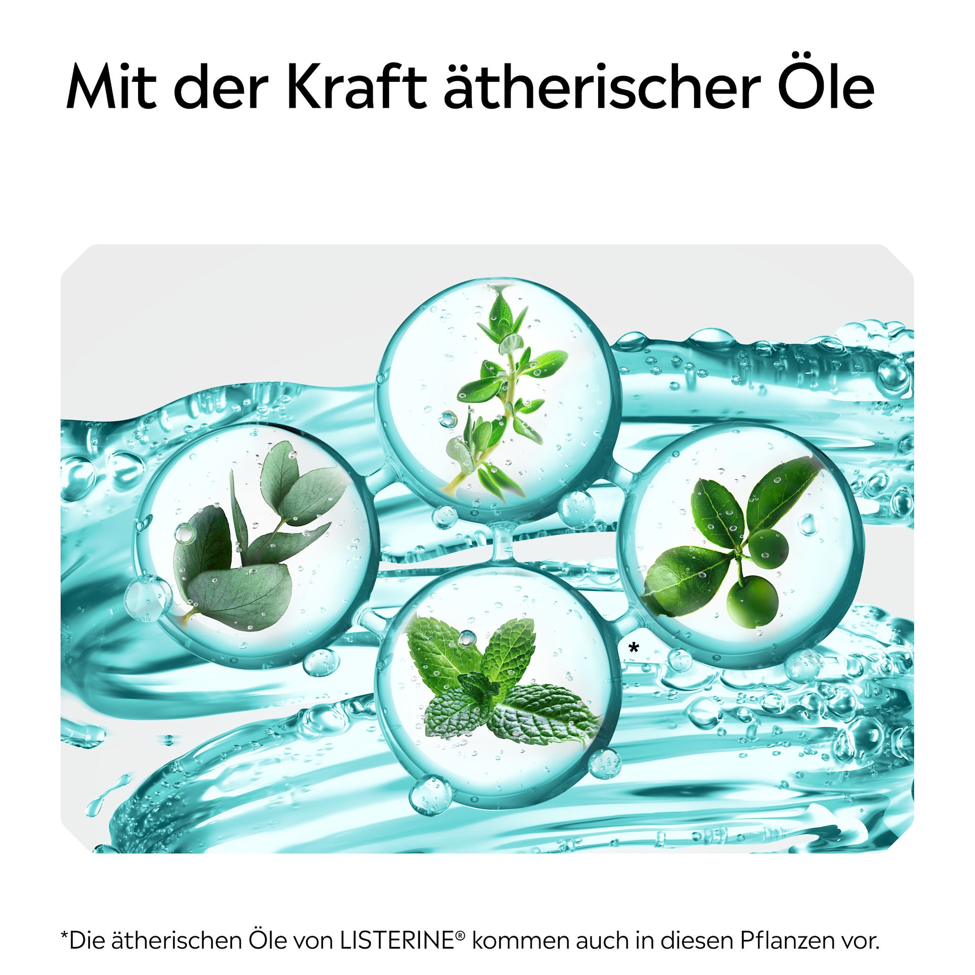 Darstellung ätherischer Pflanzenöle in Wasserblasen mit Hinweis auf die Kraft ätherischer Öle bei LISTERINE®.