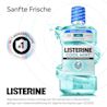 LISTERINE® COOL MINT Milde Minze ohne Alkohol mit Hinweis auf sanfte Frische und Nr. 1‑Empfehlung durch Zahnärzt:innen.​