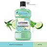 LISTERINE® ALOE & CUCUMBER - Image 5 - Listerine - en-SG