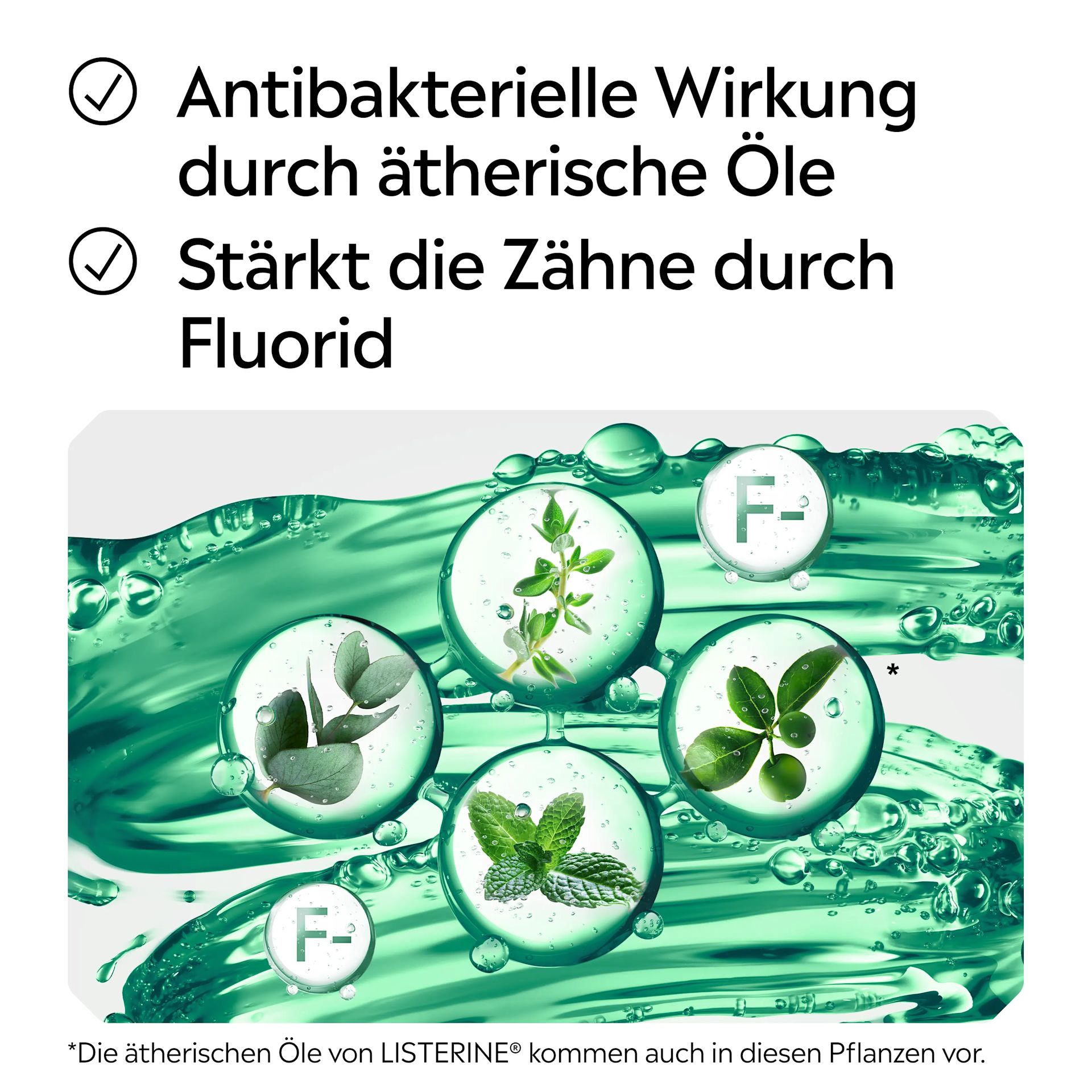 Darstellung ätherischer Öle und Fluorid als Wirkprinzipien bei LISTERINE®.
