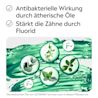 Darstellung ätherischer Öle und Fluorid als Wirkprinzipien bei LISTERINE®.