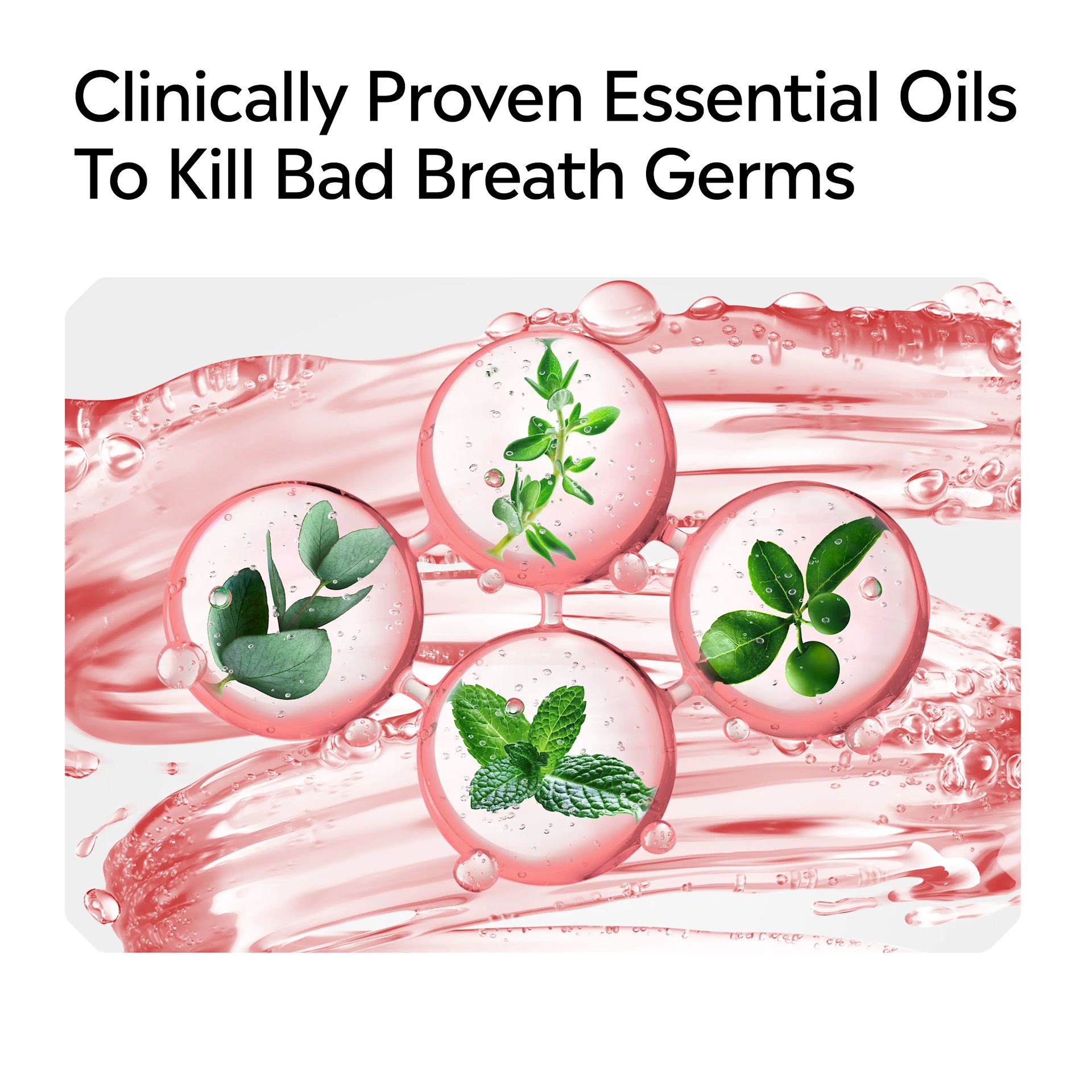 LISTERINE® Gum Health clinically proven essential oils to kill bad breath germs