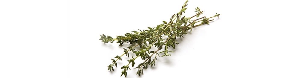 Listerine Essential Oil, Ingredient Banner: Thymol