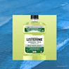 LISTERINE® Green Tea Mild Taste (Zero Alcohol) - Image 1 - Listerine - en-SG