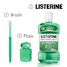 Listerine Freshburst