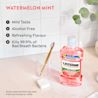 CA_LIST_62600492777_WatermelonMint_1L_EDA_EN_ATF_01​