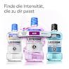 Drei Intensitäten der Mundspülung LISTERINE® TOTAL CARE Zahnstein‑Schutz: Extra Mild, Mild und Intensiv.