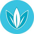 icon-menthol 0
