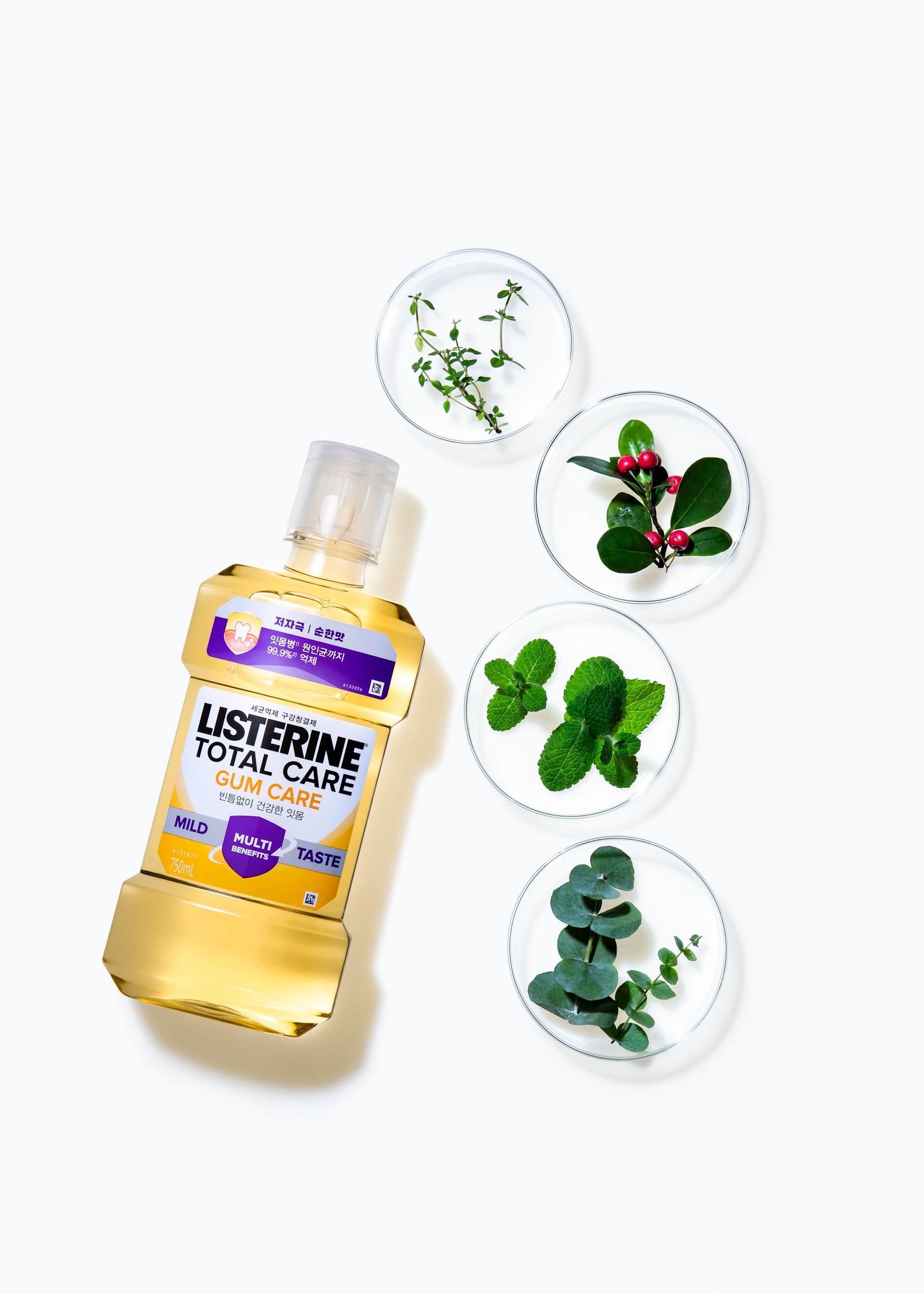 리스테린® 액 토탈케어 검케어 마일드 - Image 5 - Listerine - ko-KR