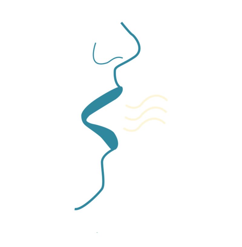 Causes of Bad Breath