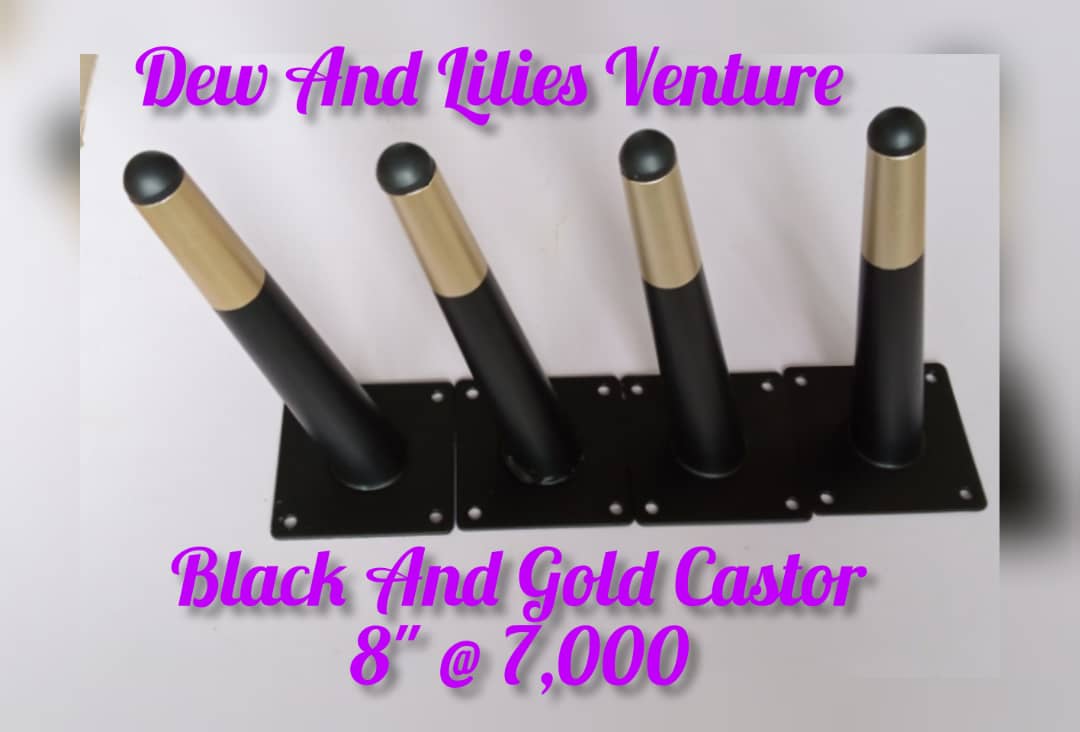 Black and white Castor