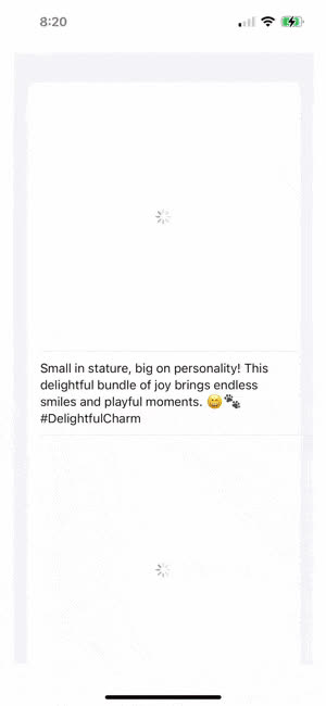 puppygram-prototype